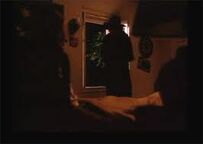 The shadow man