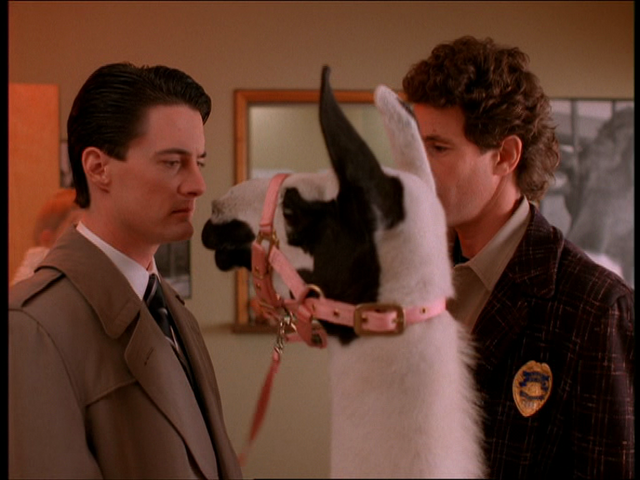 File:Shot0065.png