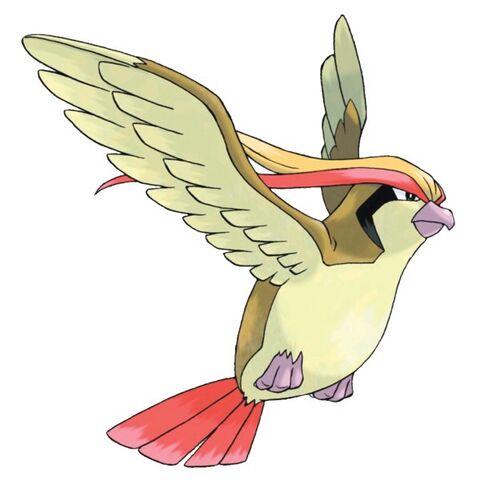 File:Pidgeot.jpg