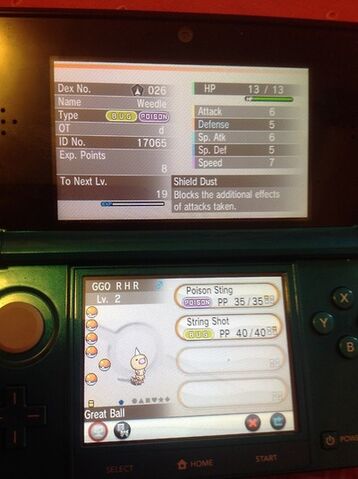 File:WEEDLE3.jpg