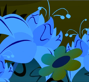 Poison joke flower