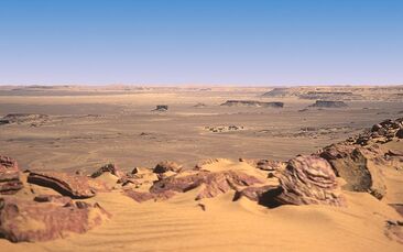 Wasteland