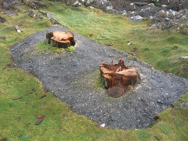 Stumps 2