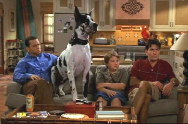 Archivo:4x04.jpg