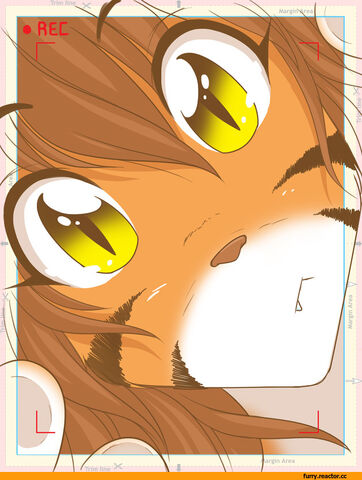 Файл:Twokinds-furry-art-furry-фэндомы-867954.jpeg
