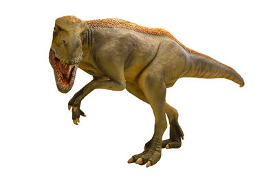 Eotyrannus big dinosaur fiberglass
