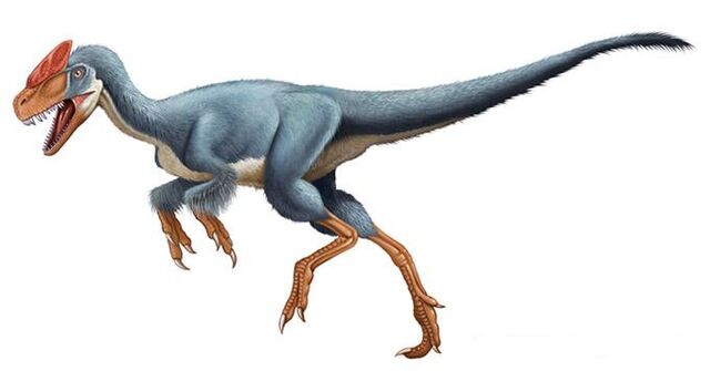 File:Guanlong24.jpg