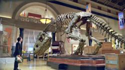 File:250px-Rexy-Trex.jpg