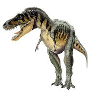 Tarbosaurus