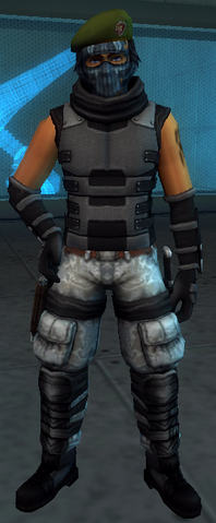 File:Ingame.png