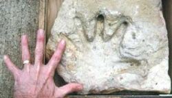 Handprint