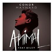 AnimalConorMaynard