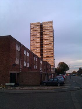 IMAG0228