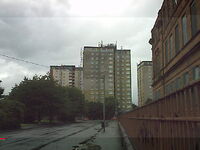 Picture 225
