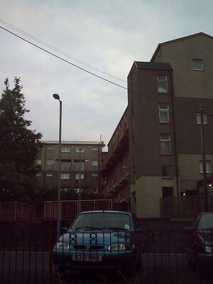 Picture 087