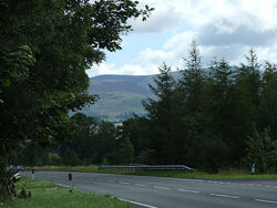 A66