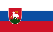 SVKFlag2