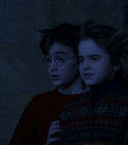 File:Harryhermione4.jpg