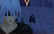 Riku xion ds