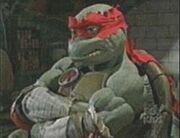 Next Mutation Raphael