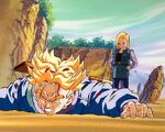 Android18AndSuperSaiyanTrunksFighting