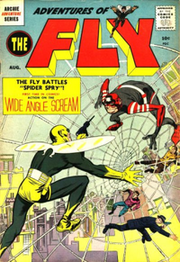 Adventures of the Fly
