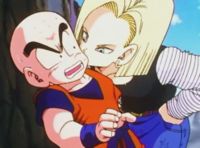 Krillin & android-18