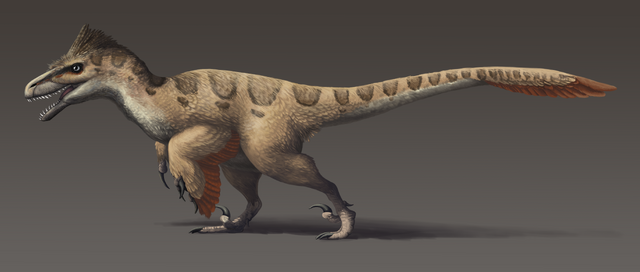 File:Utahraptor updated-1-.png
