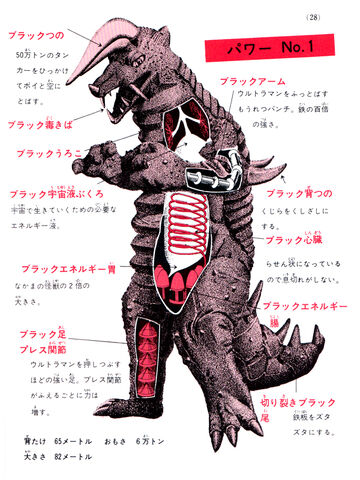 File:Black King Anatomy.jpeg