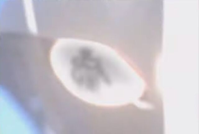 File:Zagi Cameo.jpg