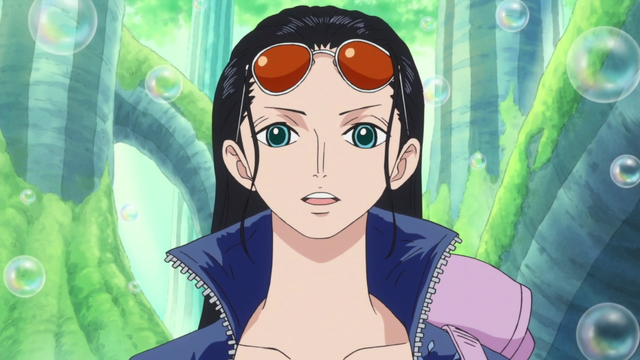 File:Robin two years later.png