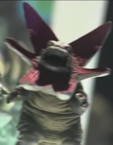 File:Gabora Spark Doll.jpg