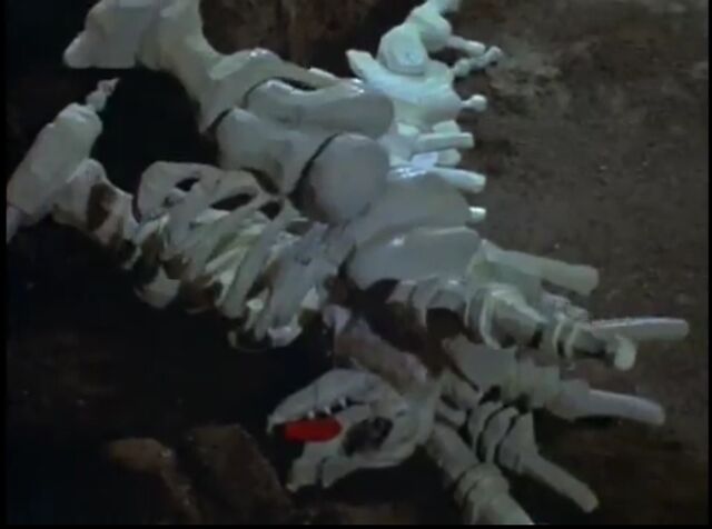 File:Oxterskeleton.jpeg