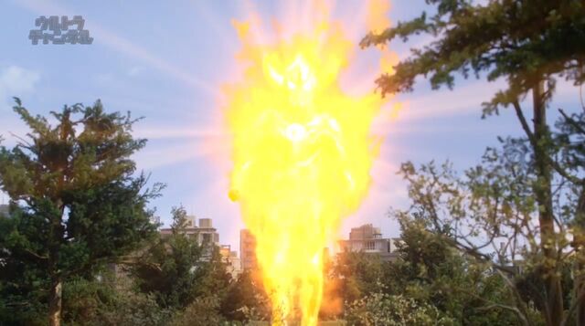 File:Burn mite intri image.jpeg