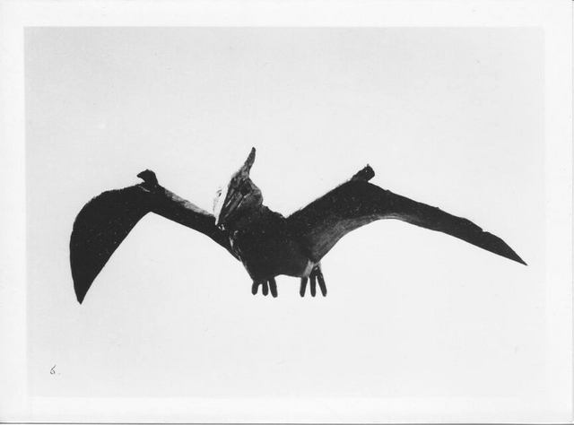 File:Giant Pteranodon 2.png