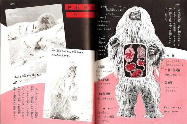 File:Woo anatomy.jpg