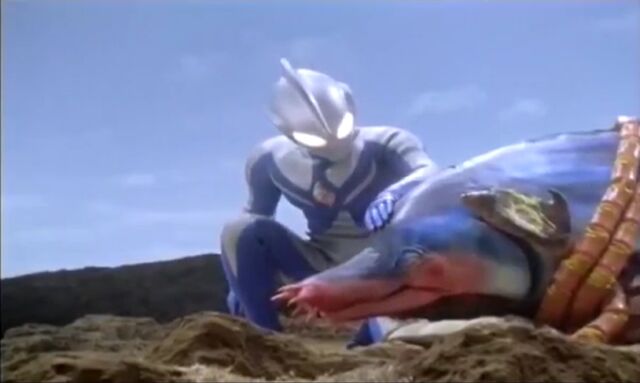 File:Cosmos Pet.jpeg