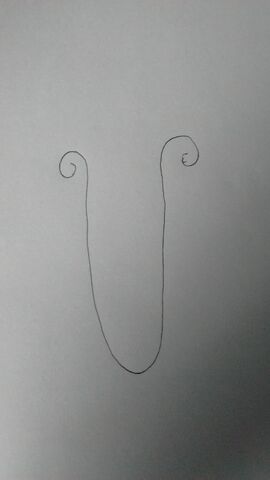 File:IMG 20160828 171832566.jpg