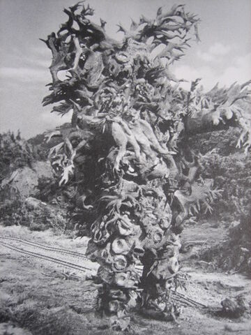 File:Alien-Waiell 2.jpg