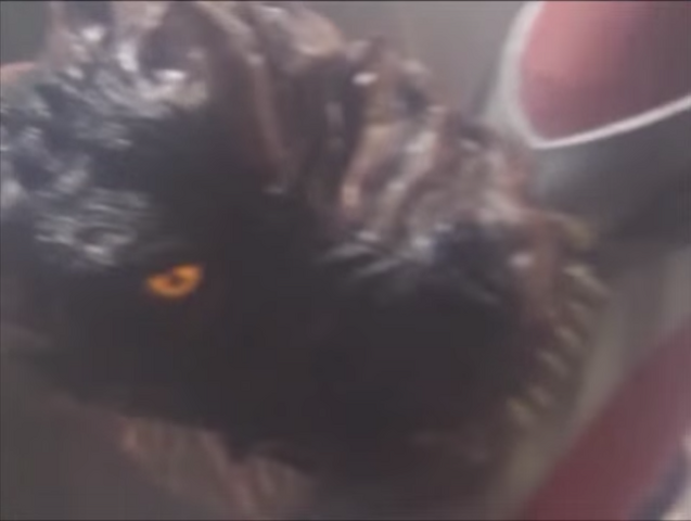 File:Galberos Infectious Bite.png