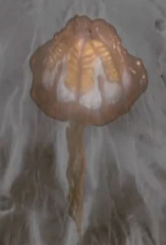 File:Frogas.png