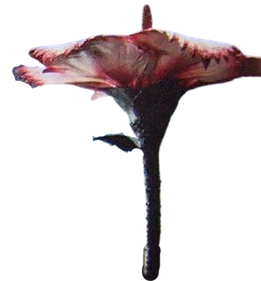 File:Juran.png