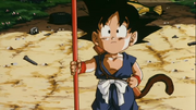Hiro training