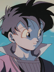 802740-1683814-PAN Videl(1)