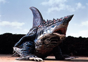 Geo Shark