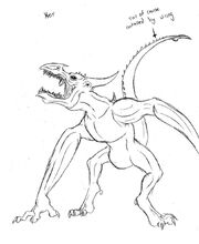 Kor