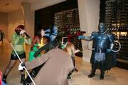 Stupid fight