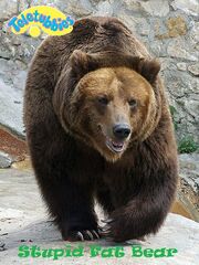 Stupid fat bear