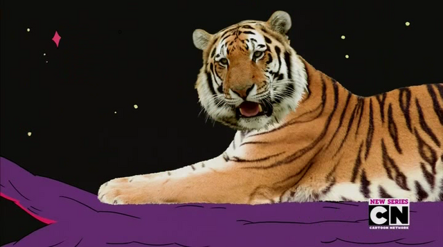 File:GRFT 2.png