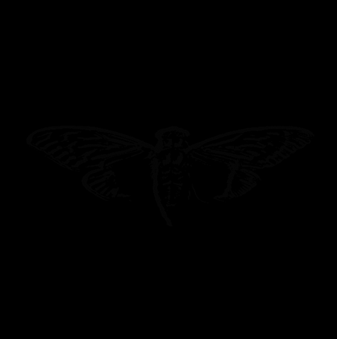 File:Outt.png